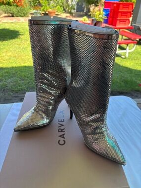 Silver Metallic Knee-High Pointed Stiletto Boots